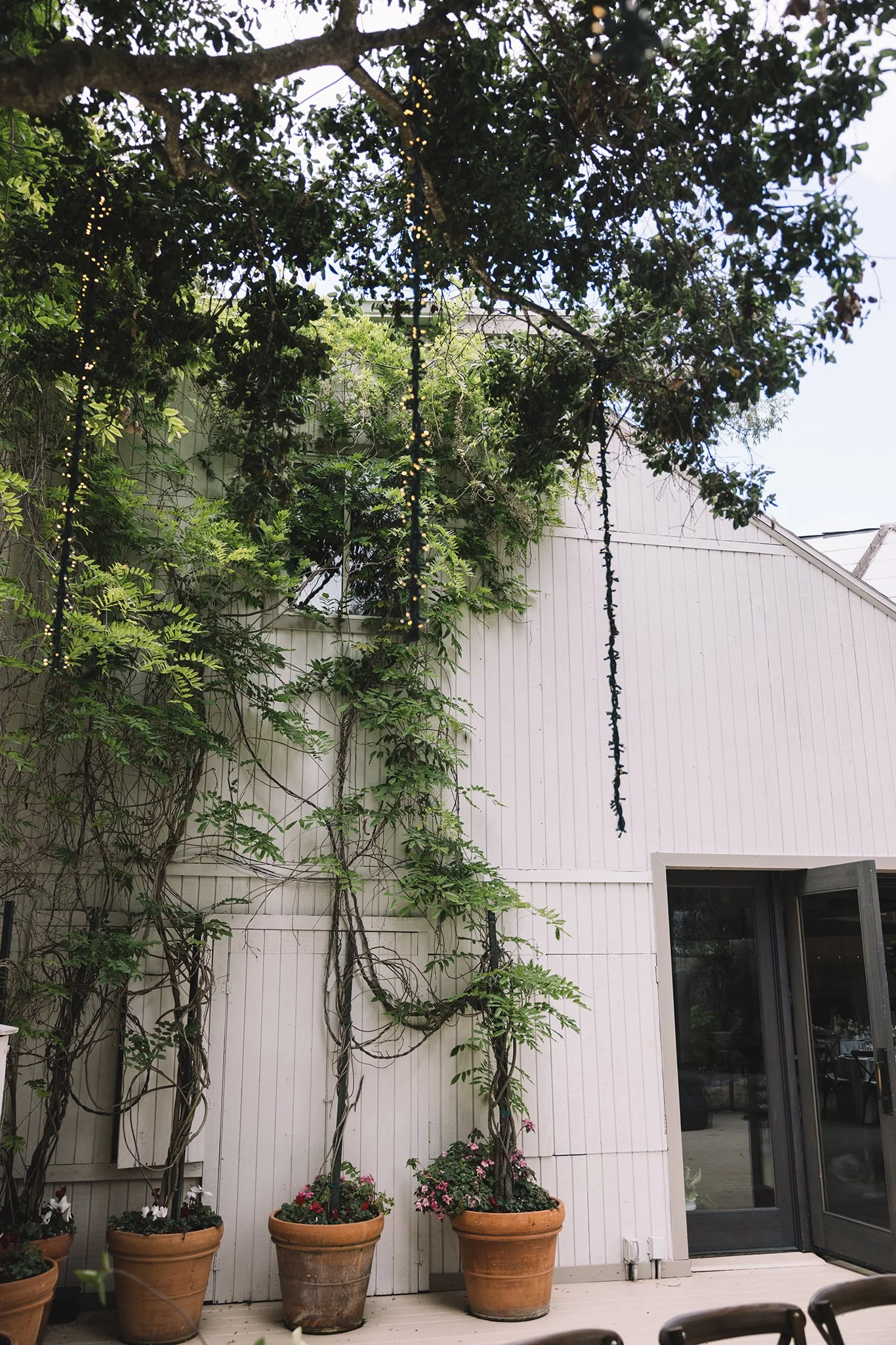 R5X_8277-1 拷贝.jpg