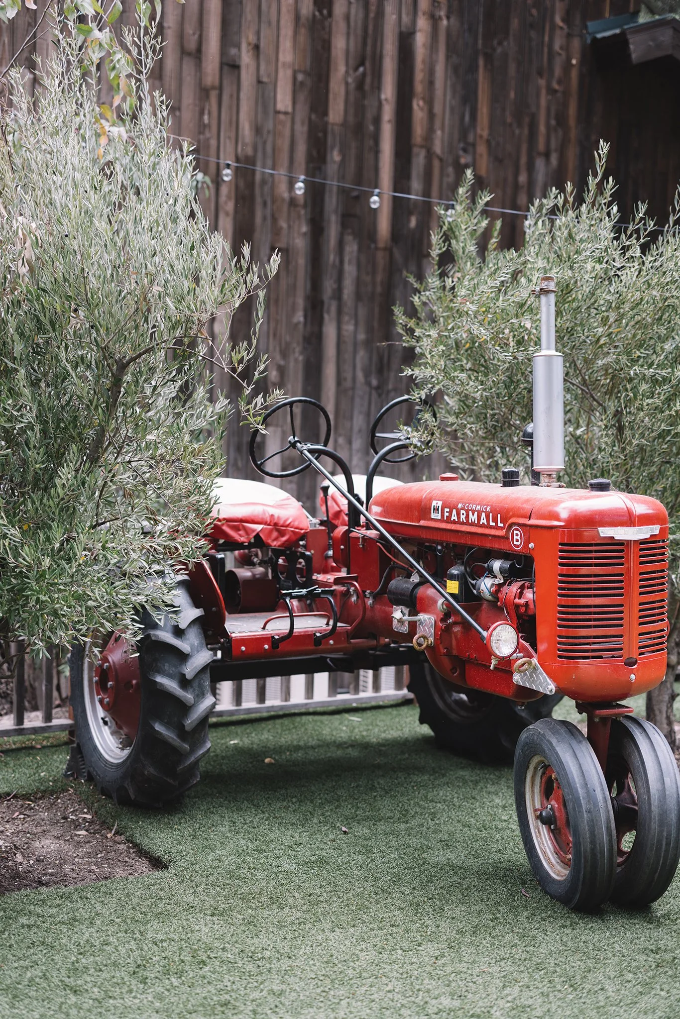 J5E_0083-1 拷贝.jpg