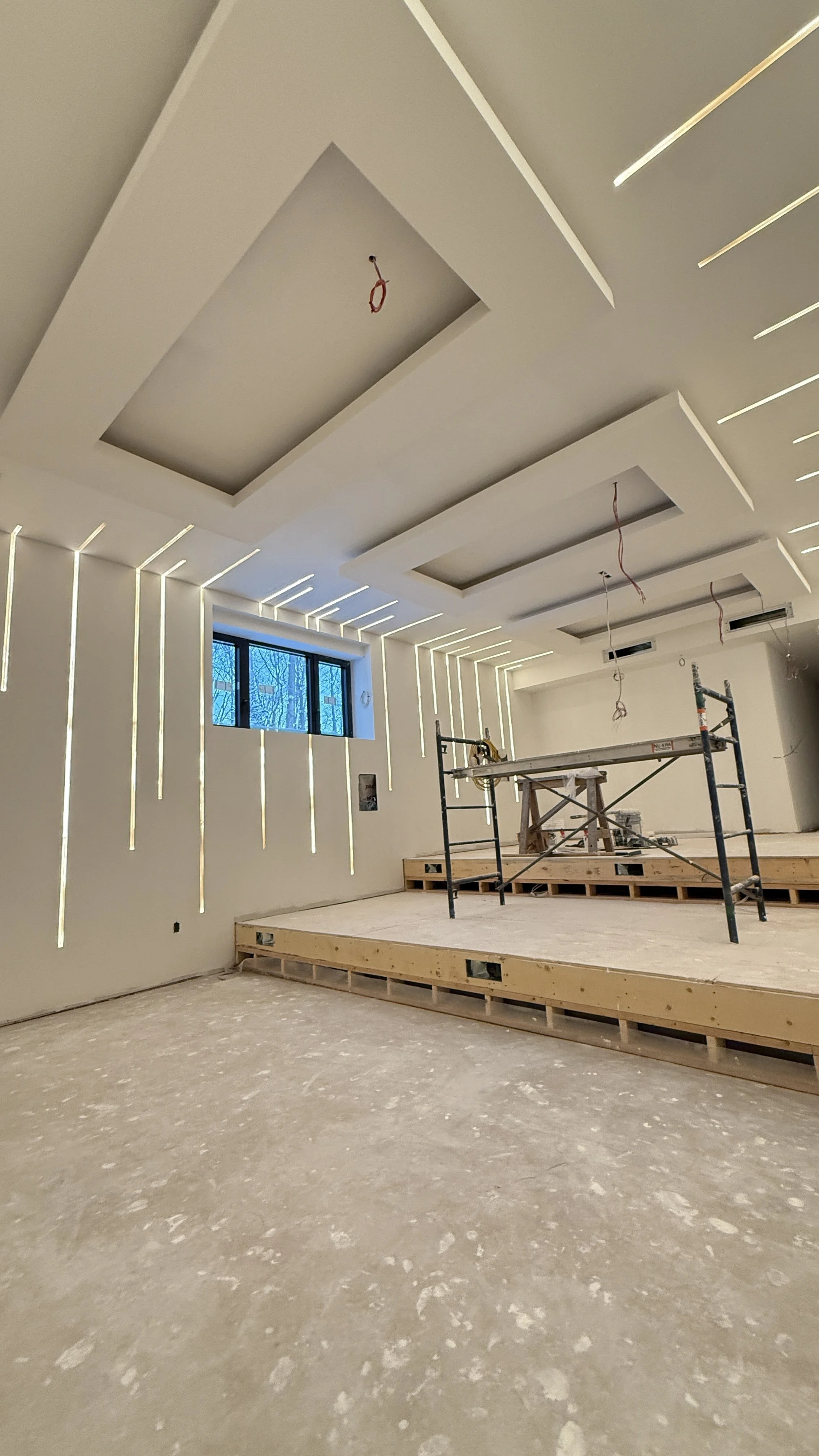 Luxury Paint in Etobicoke, Oakville, king city, vaughan. Level 5 ceilings 