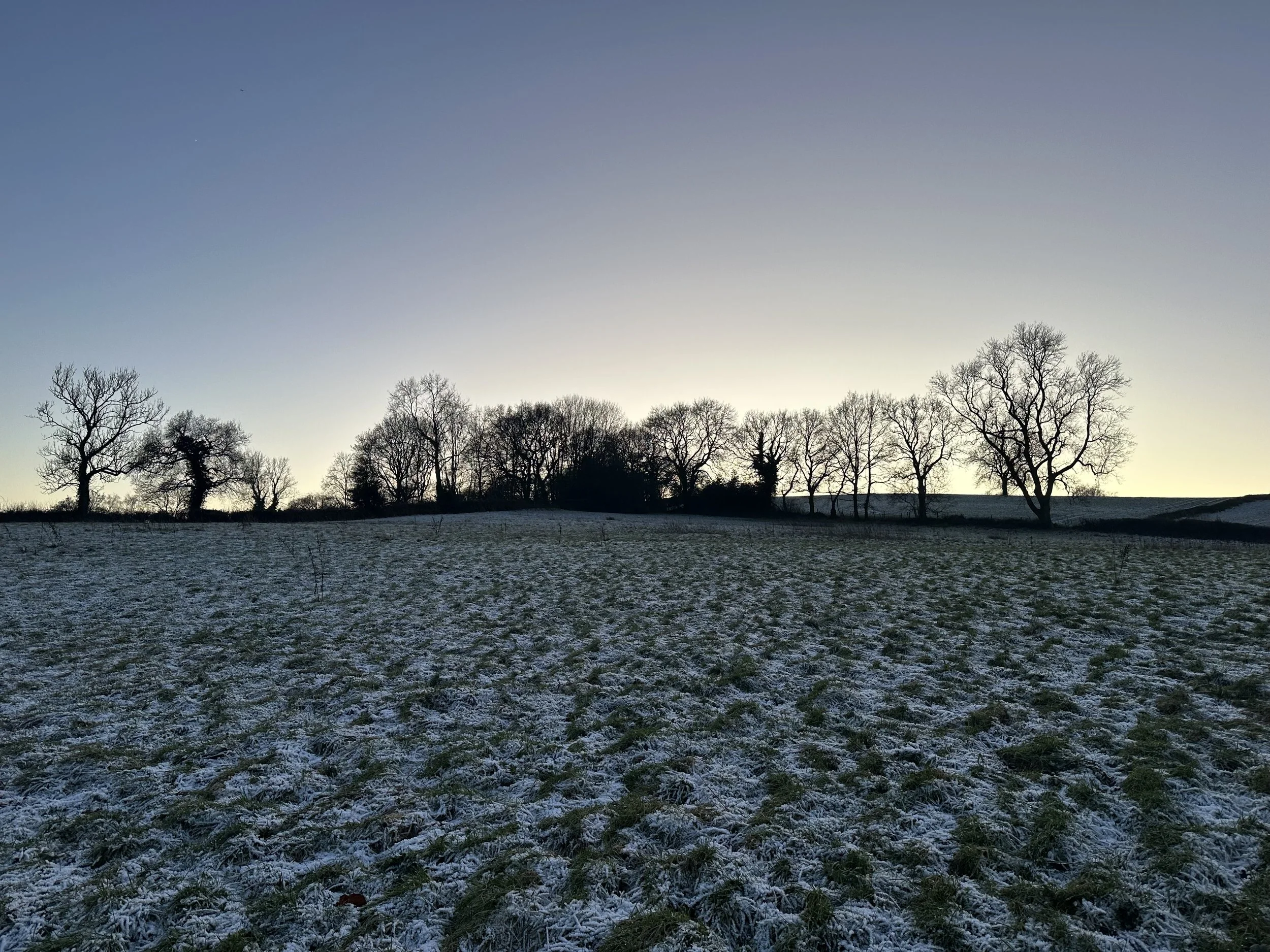 A winter landscape with leafless trees on a hill against a gradient sky at sunset or sunrise, with snow covering the grassy field in the foreground.