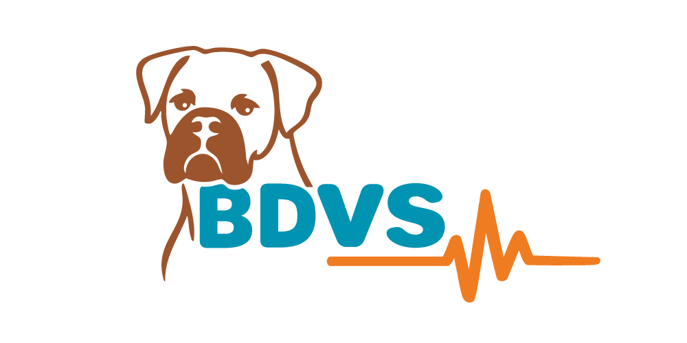 BDVS