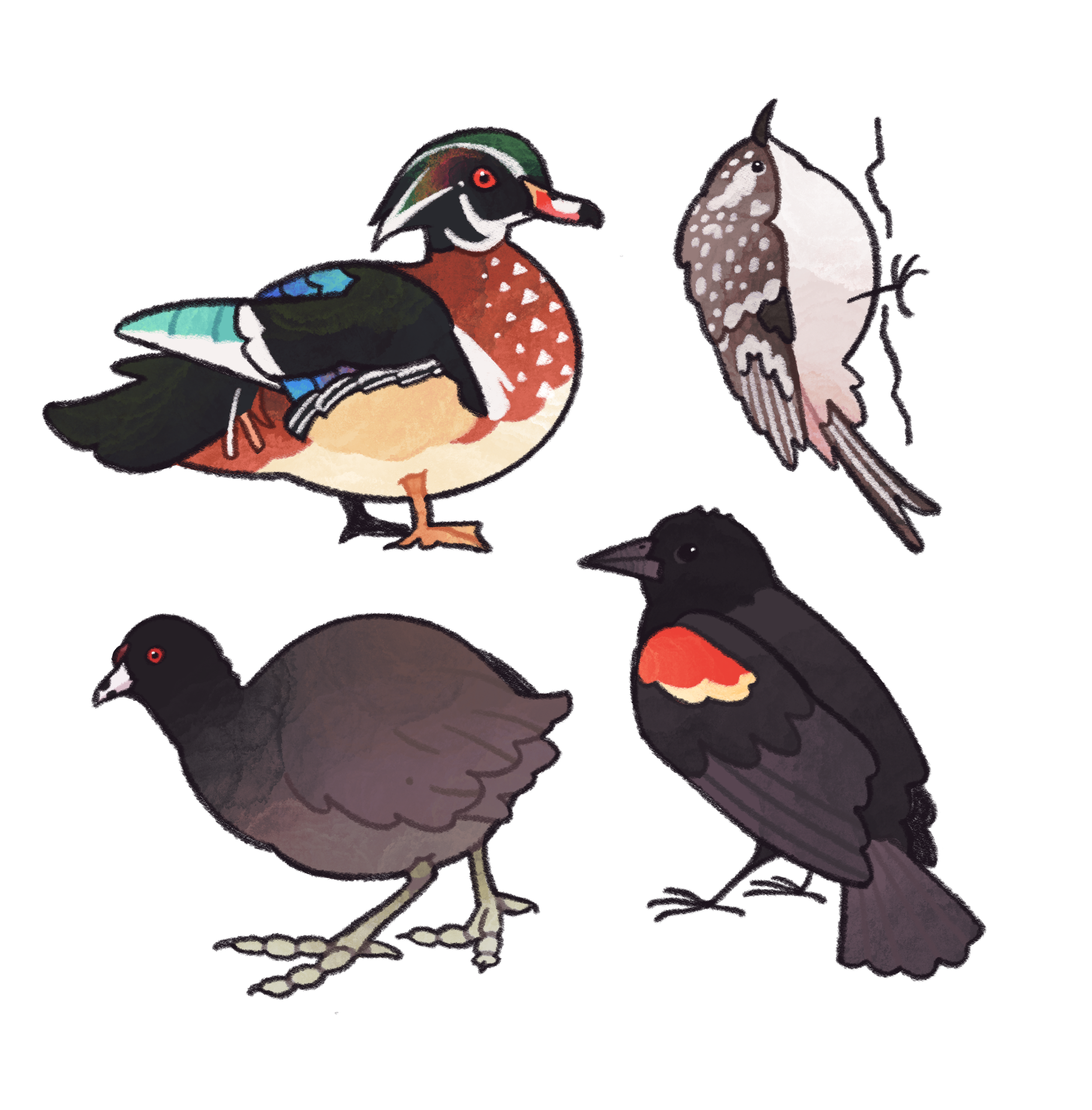 Untitled_Artwork (1) (1).png