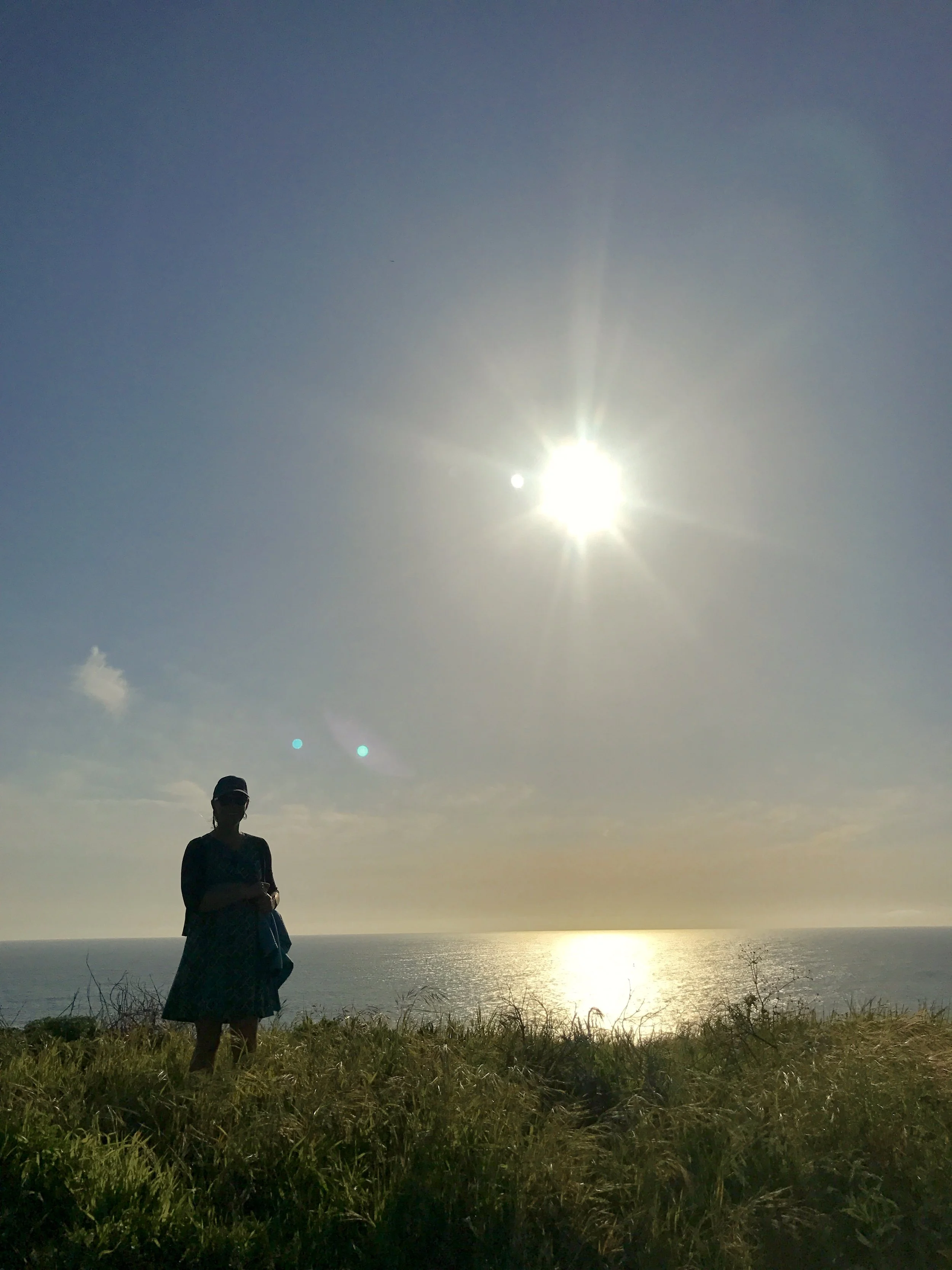 ELSA'S SUMMER SOLSTICE  |  Druid Heights, CA