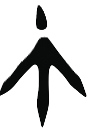 Illustration of a stylized roadrunner footprint. Roadrunner tracks law.