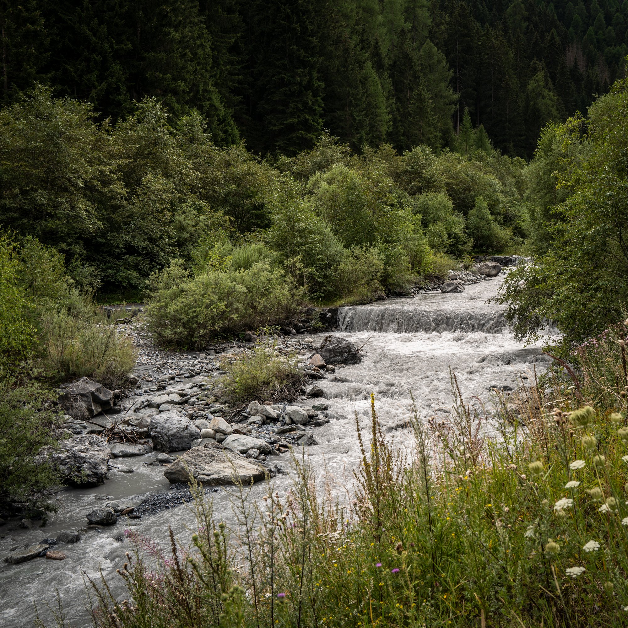 L1034572.jpg