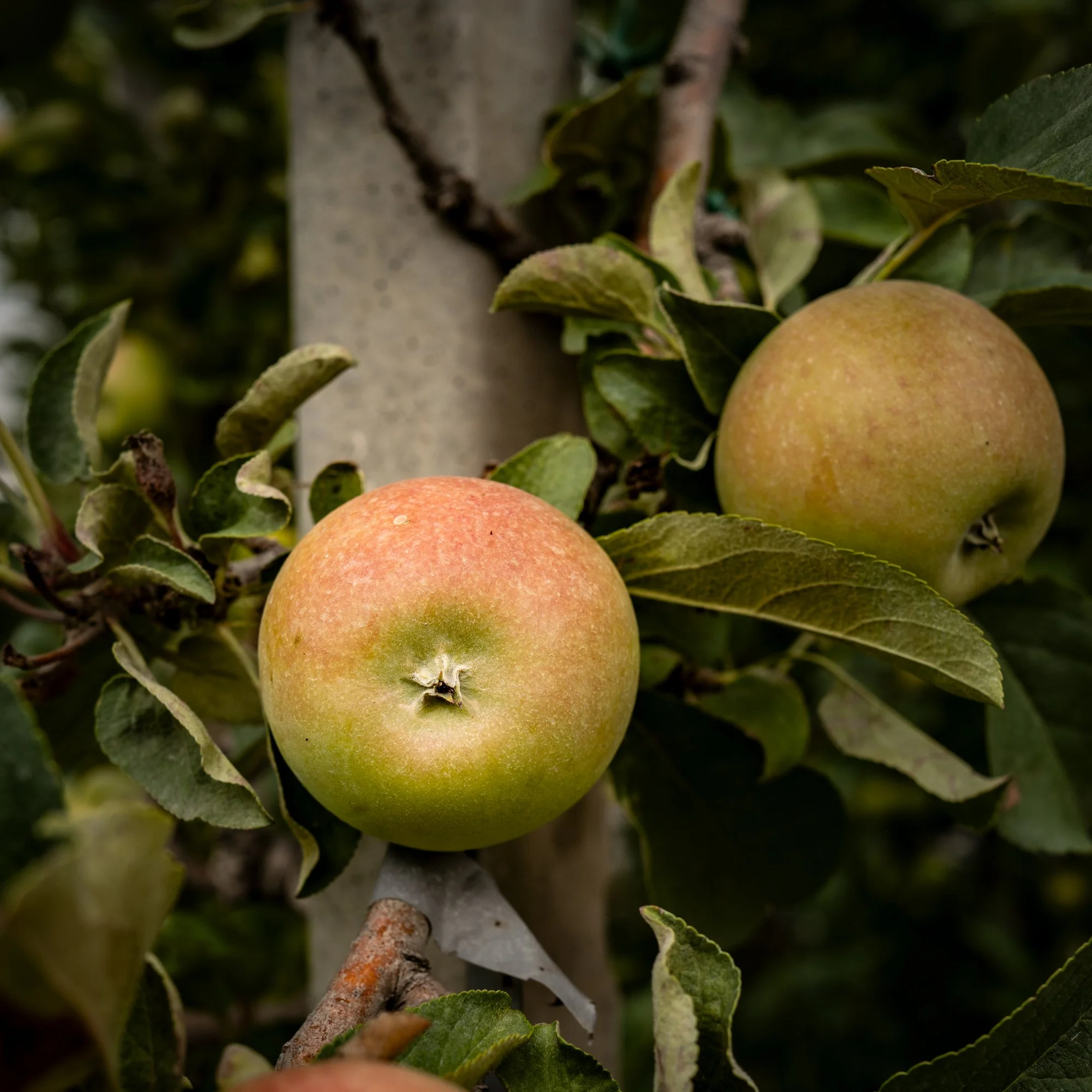 L1034563.jpg
