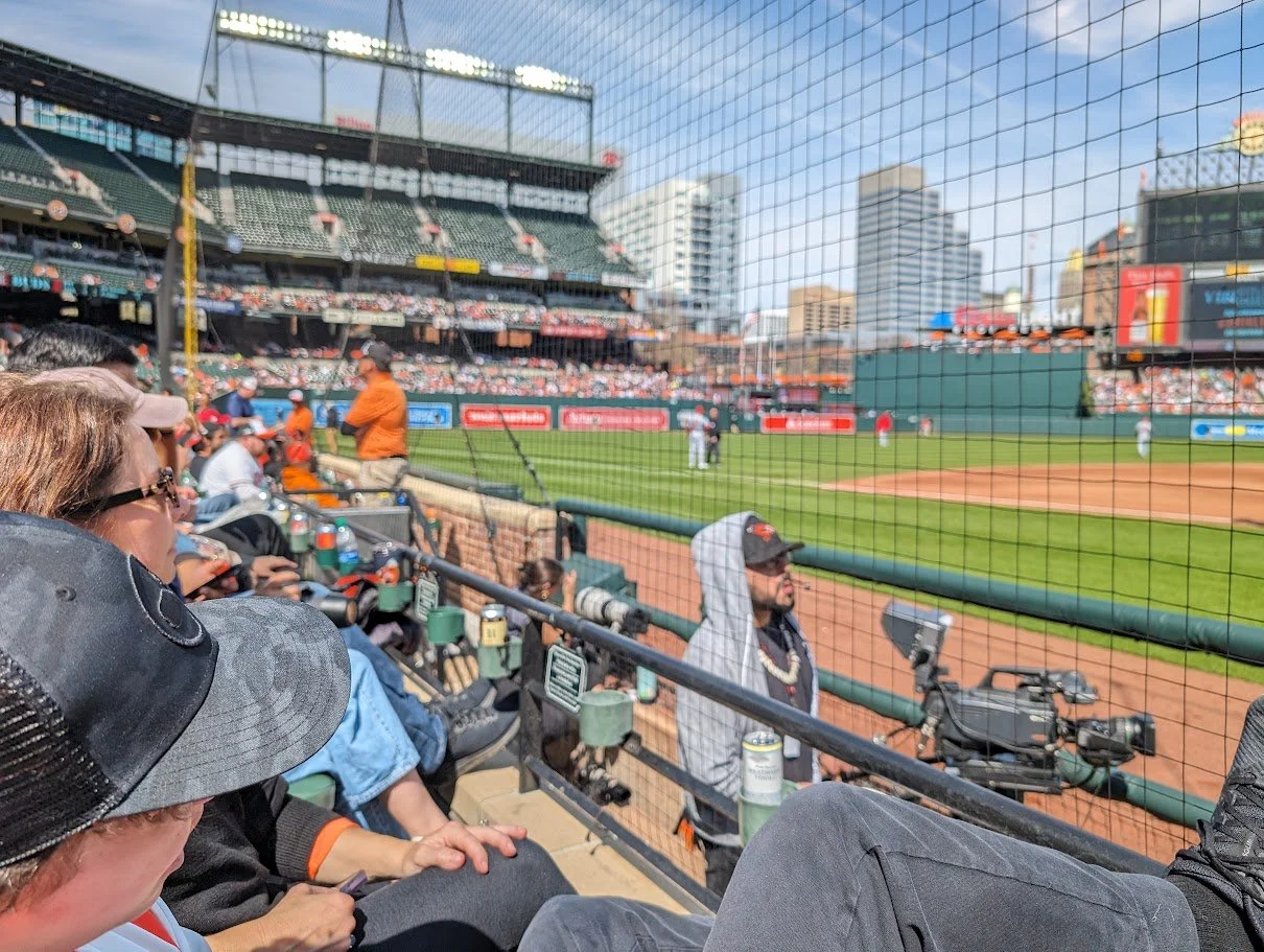 View of a baseball game from the stands, with fans sitting near the field and a play happening on the grass. Bystanders are visible along the railing, and a camera operator is recording.