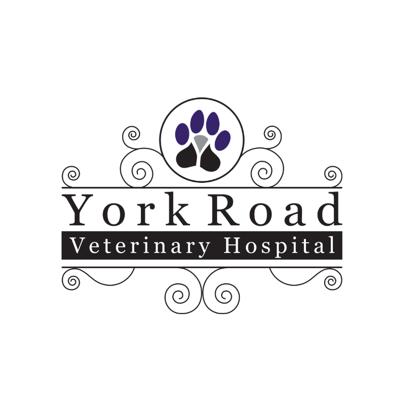 Logo for York Road Veterinary Hospital featuring a paw print with purple toes and a gray pad, surrounded by decorative swirls.