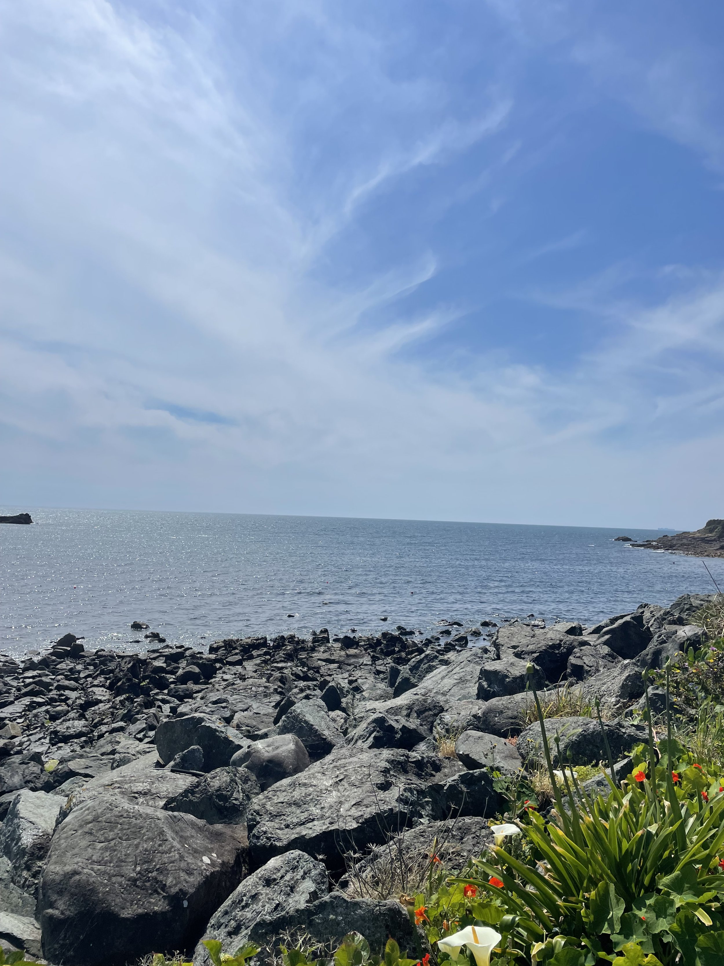 Rocky shoreline with flowers in the foreground, the ocean and blue sky with clouds in the background.