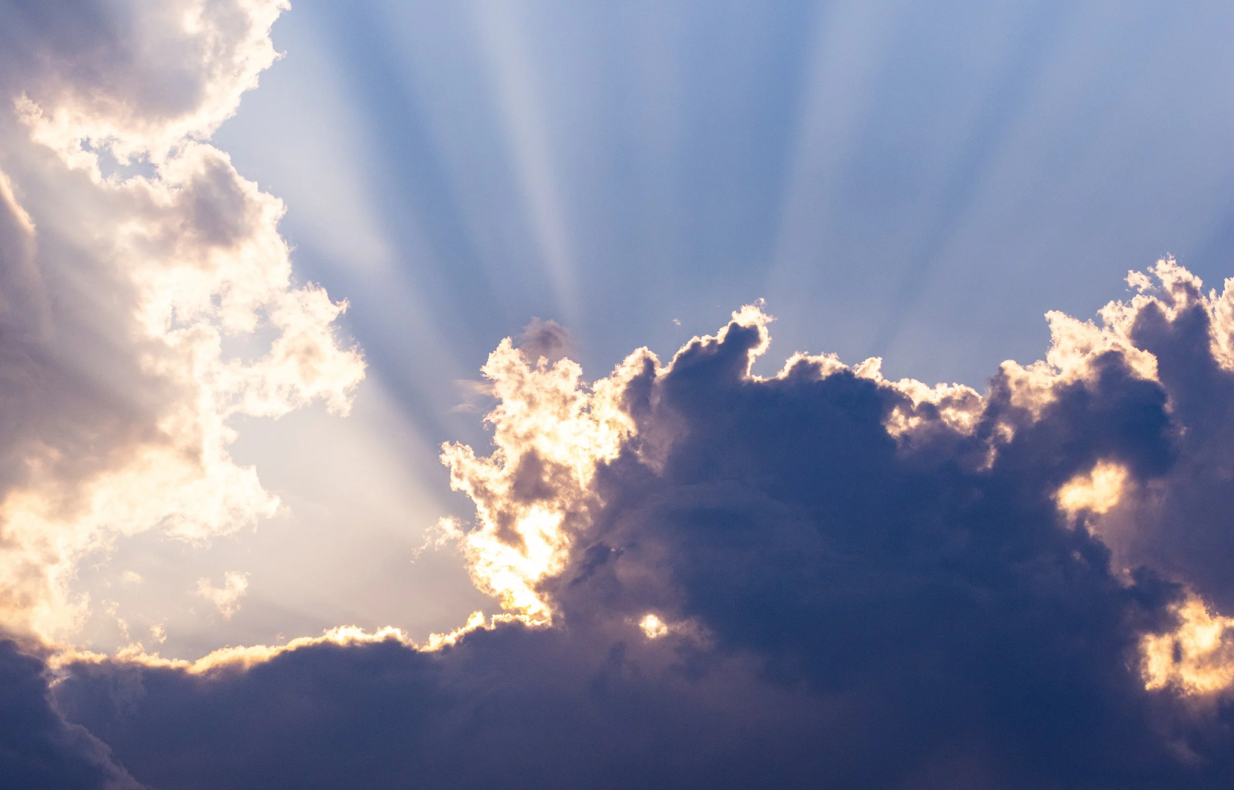 Sunset in Reston, VA.