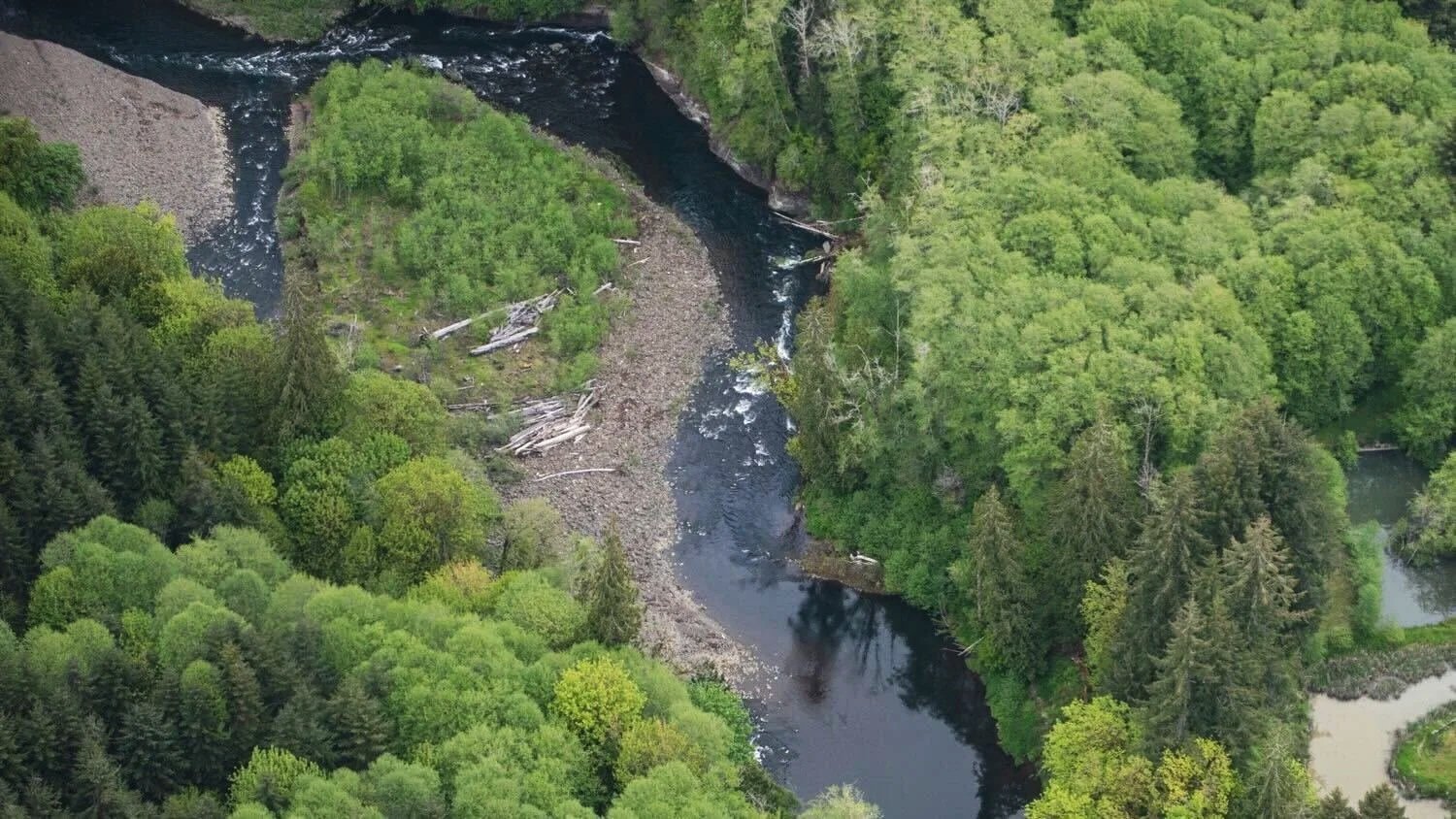 Headwaters of the Chehalis River near Pe Ell, WA.