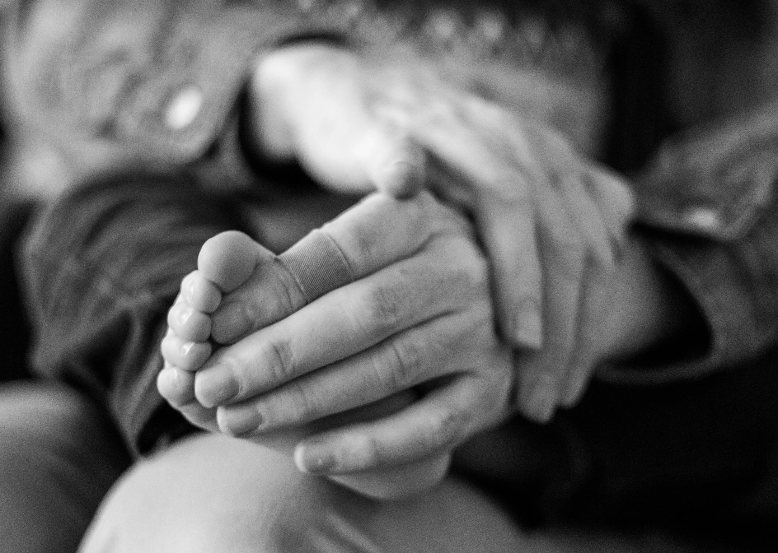 My Mother is a Grandmother.