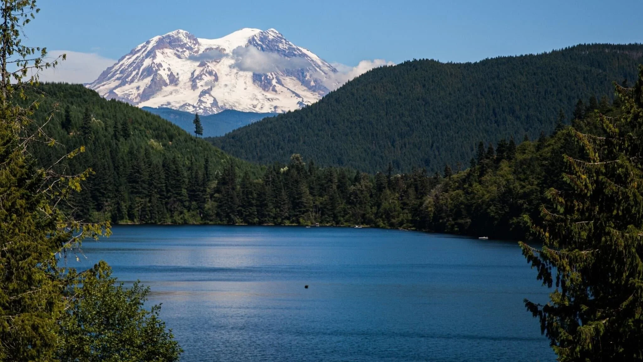 Mount Rainier over Mineral Lake.