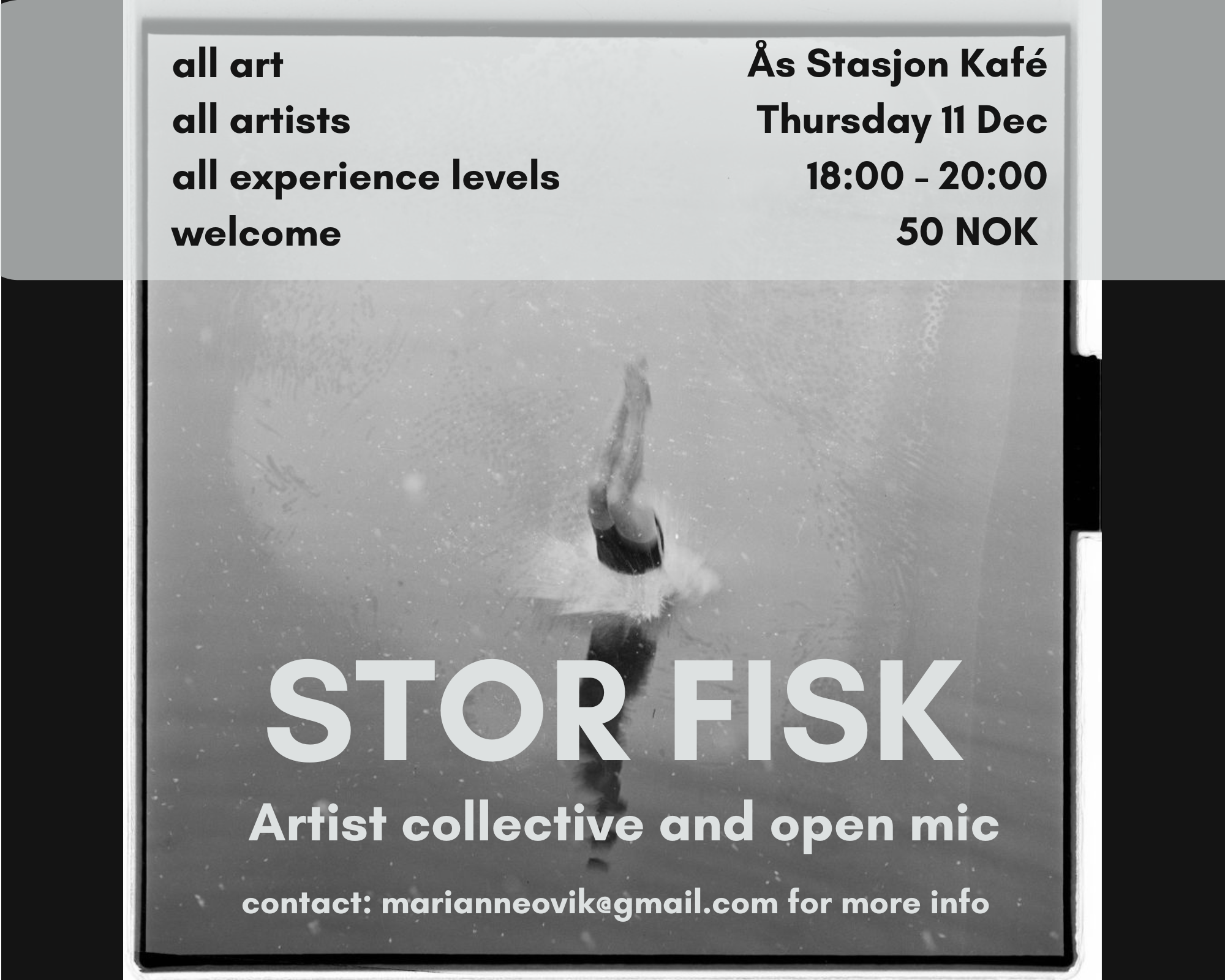 STOR FISK1 (17).png