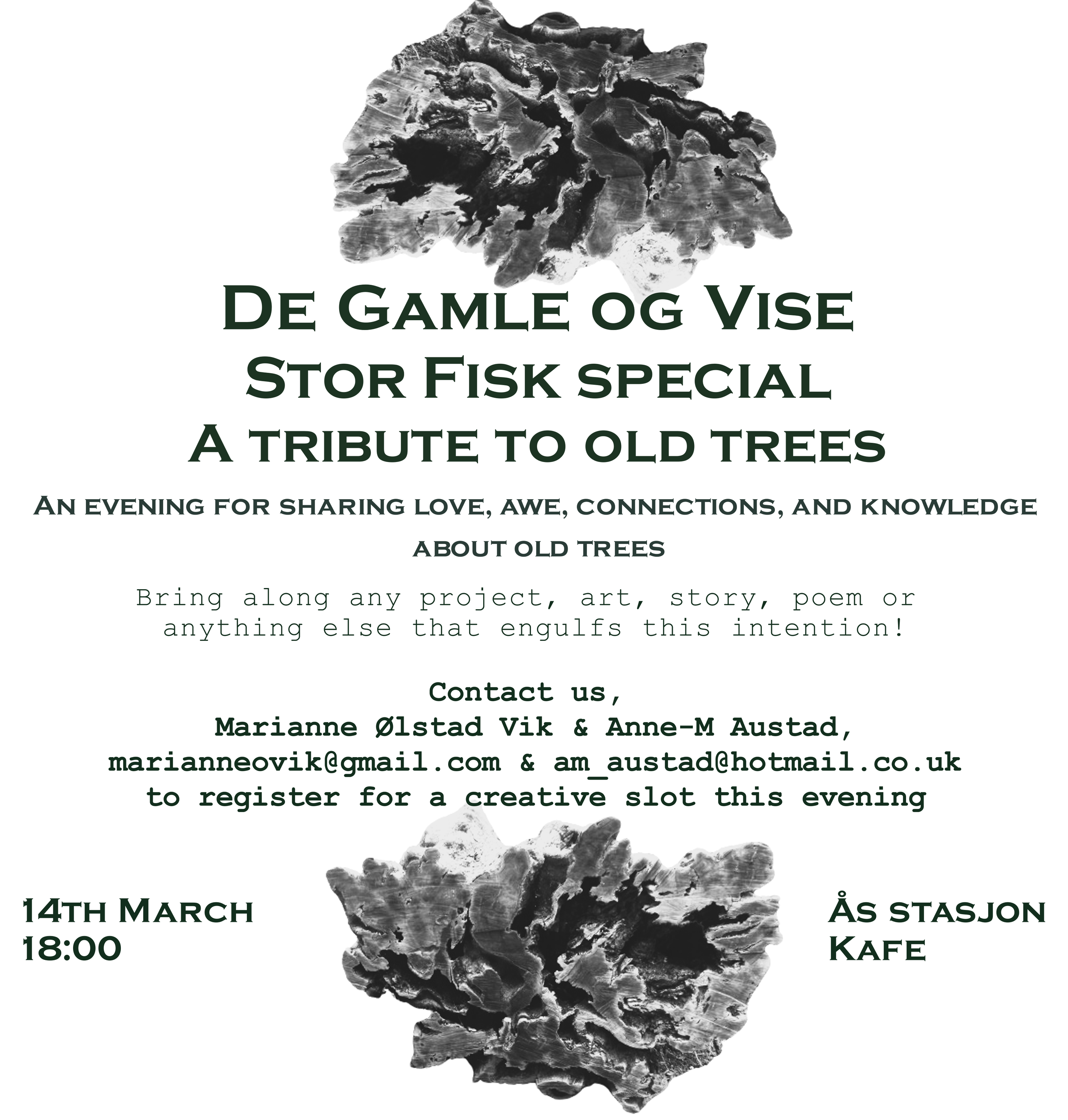 StorFisk De Gamle Vise Plakat.png