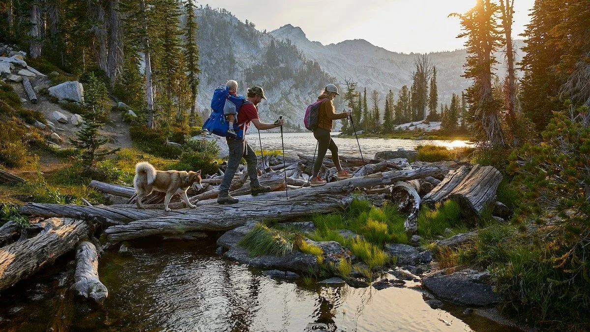 Three hikers crossing a river on a log with a dog, surrounded by trees and mountains at sunset.