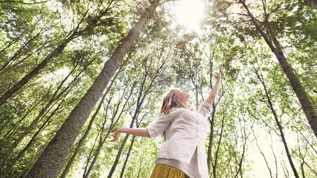 Woman in a beige shirt and yellow skirt standing in a forest, reaching upward toward sunlight through the trees.