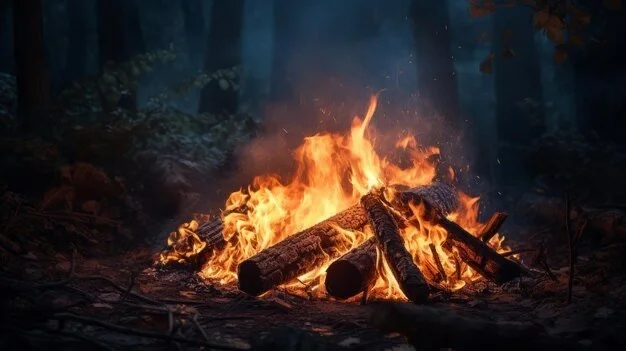 Fire pit at Camp North River