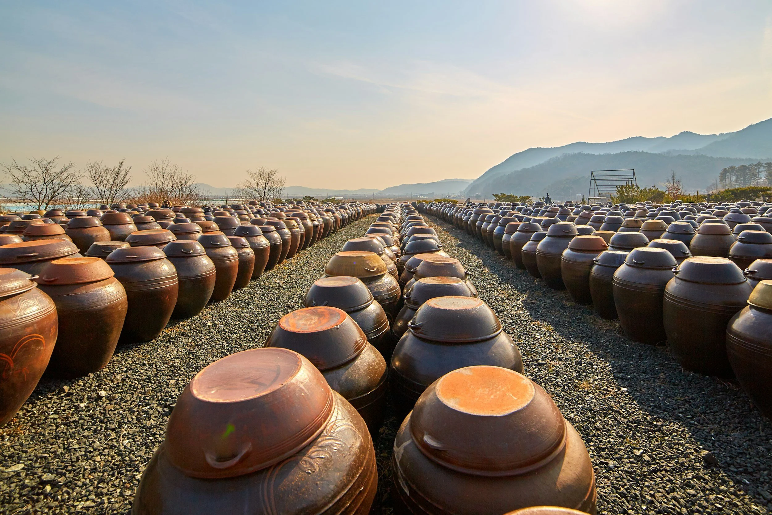 Rows of large traditional earthenware pots arranged in a field with a mountainous landscape in the background during sunset.
