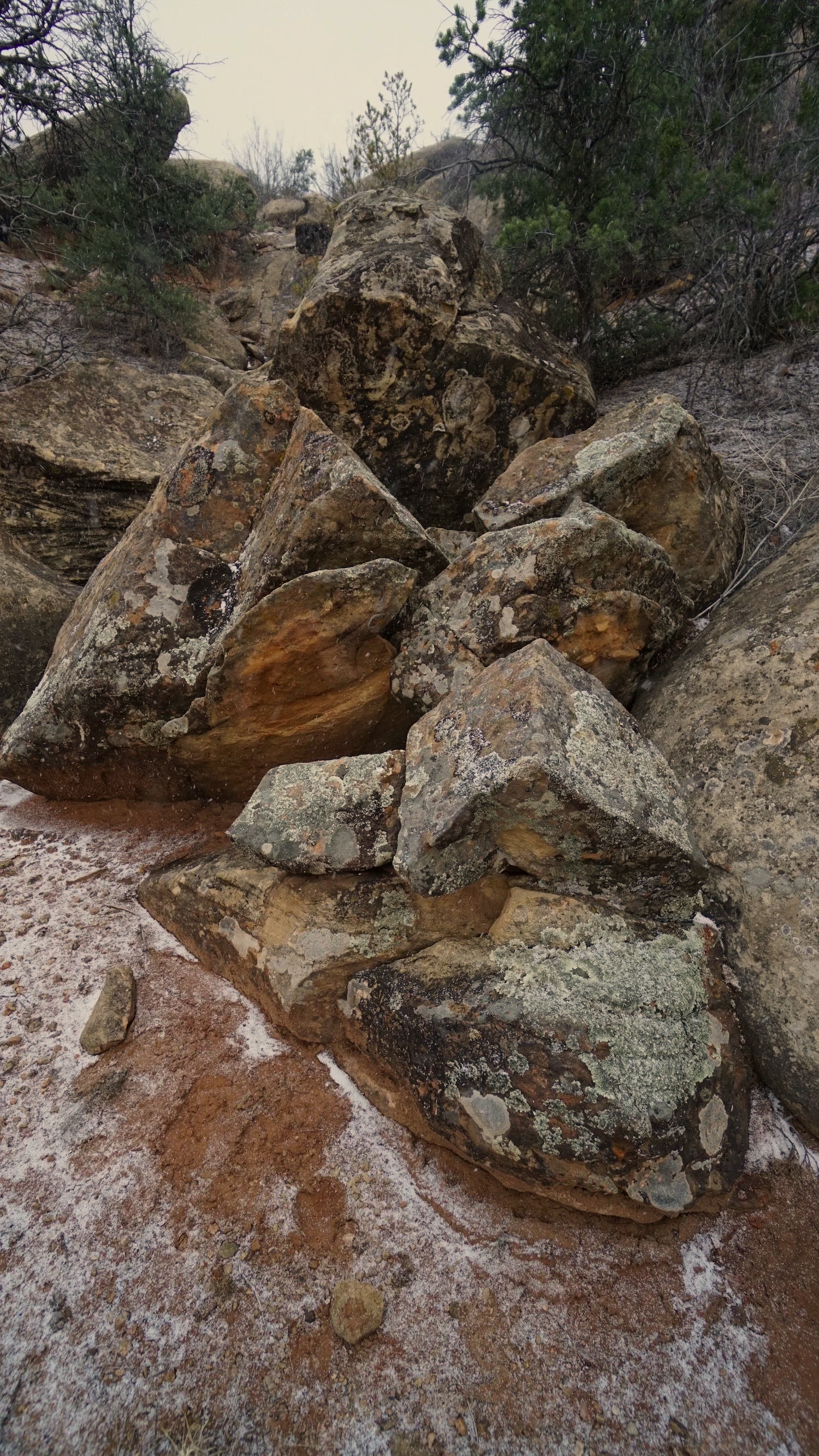 Eco-Spiritual Retreat Center near Santa Fe New Mexico