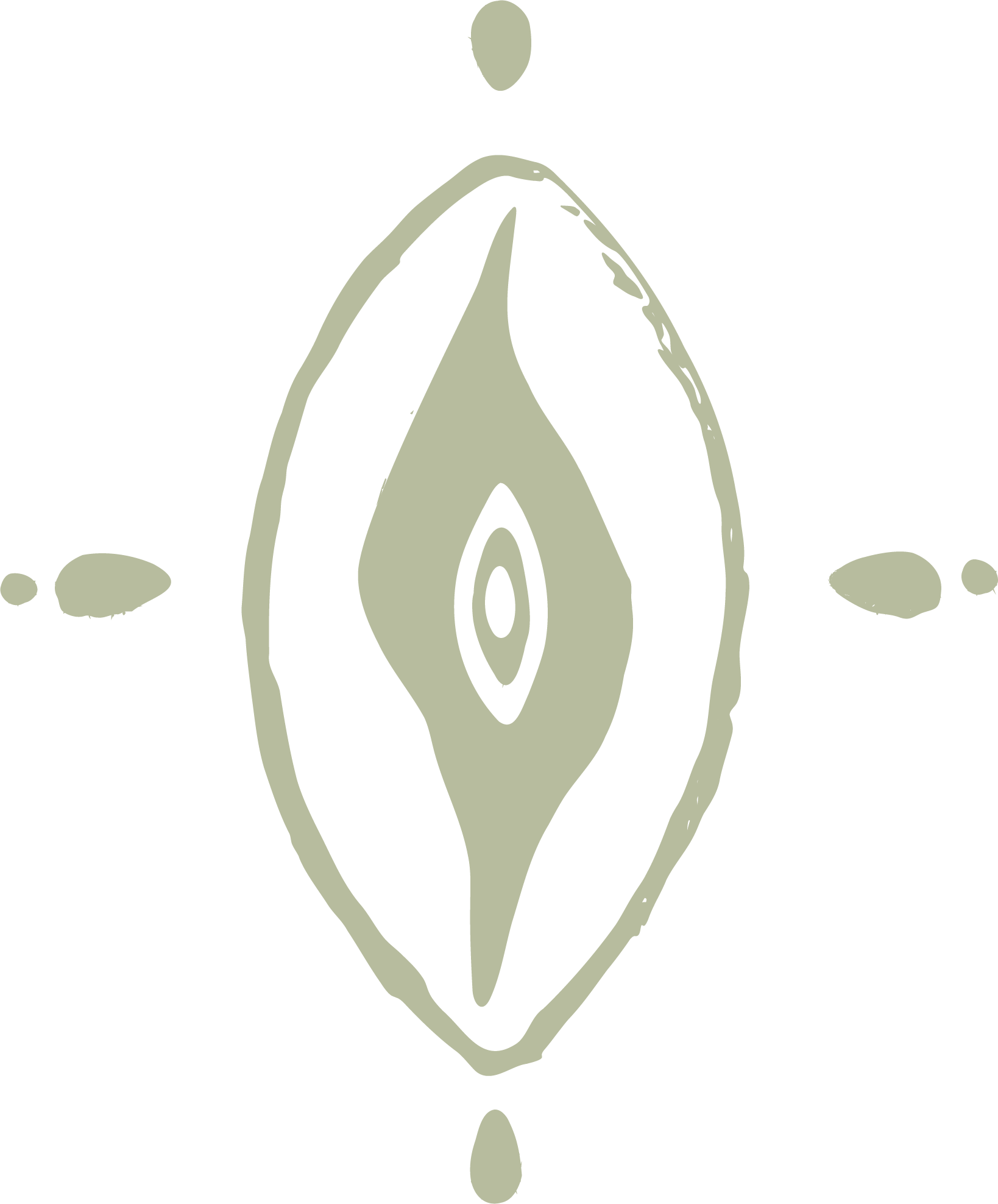 Wild Heart Seed Wisdom Center Coyote New Mexico