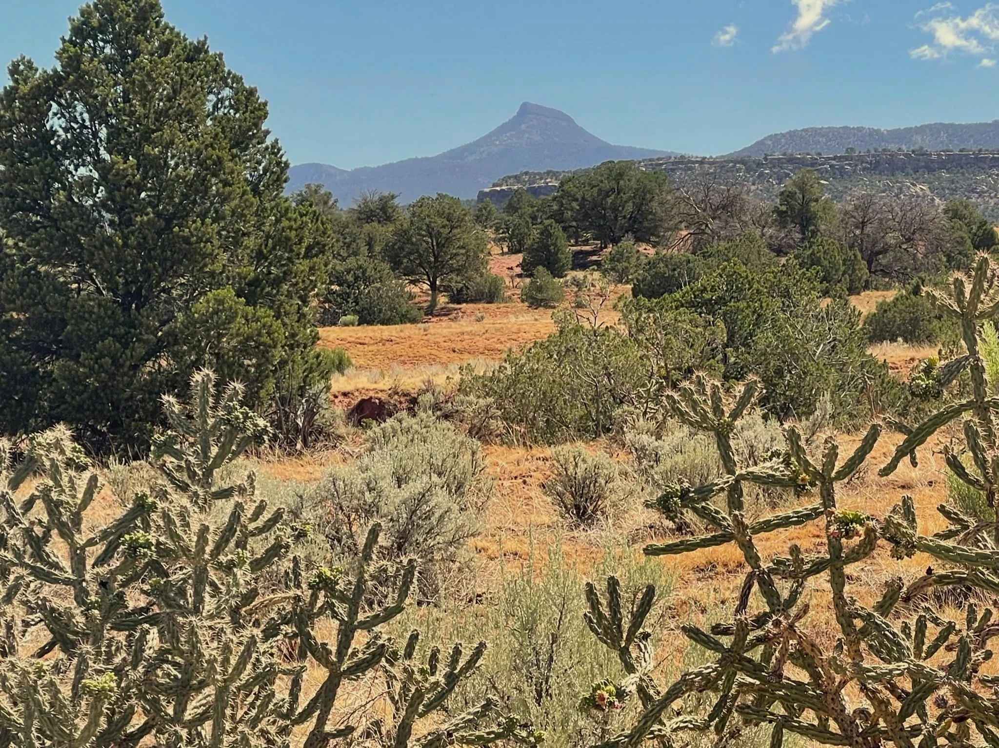 RoadRunner Coyote Retreat Center near Santa Fe