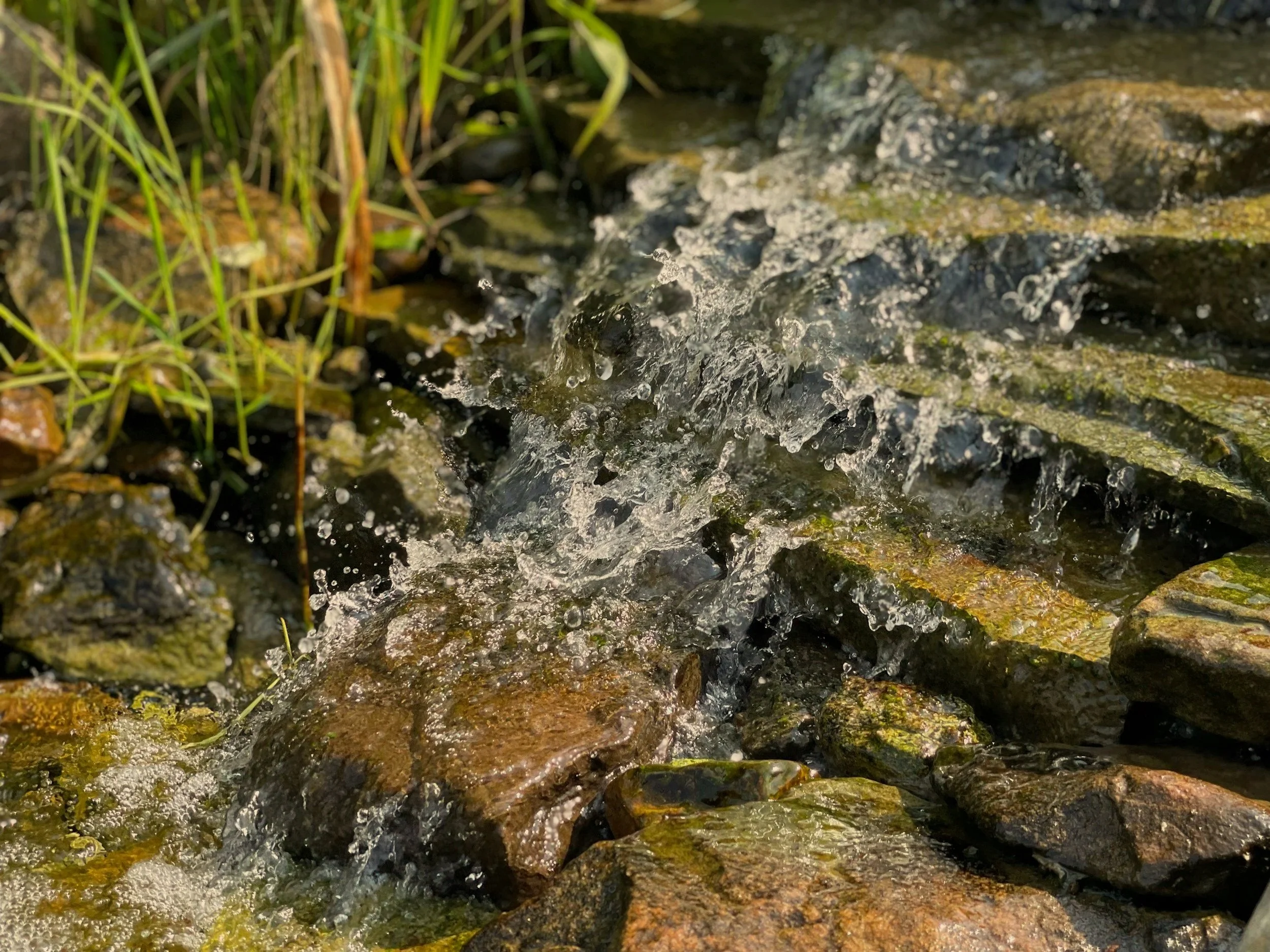 Drinking from the Imaginal Well: A Journey into Creativity and Deep Imagination