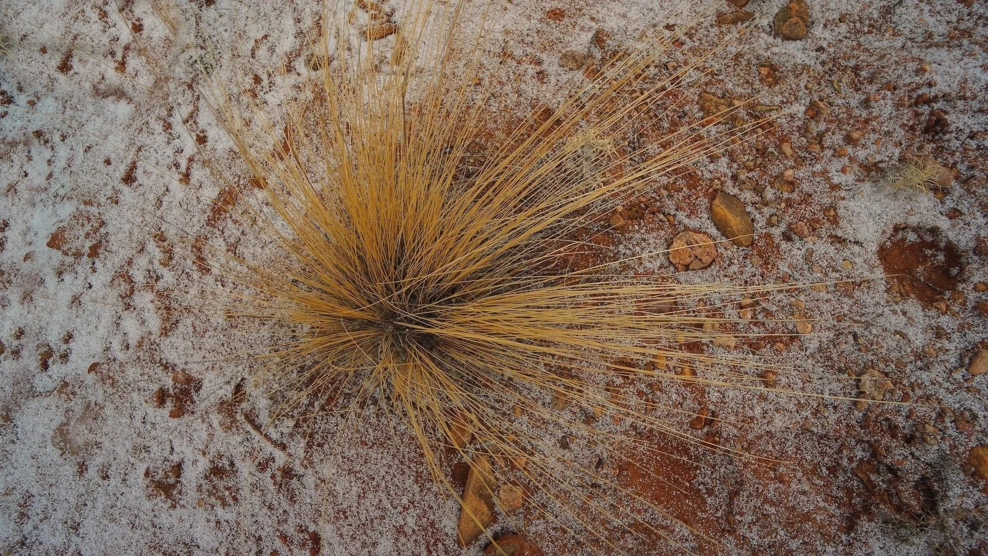 Seeking Wild Clarity and Connection: Eco-Spiritual Practice, Wilderness Relatedness, and Soulful Discovery