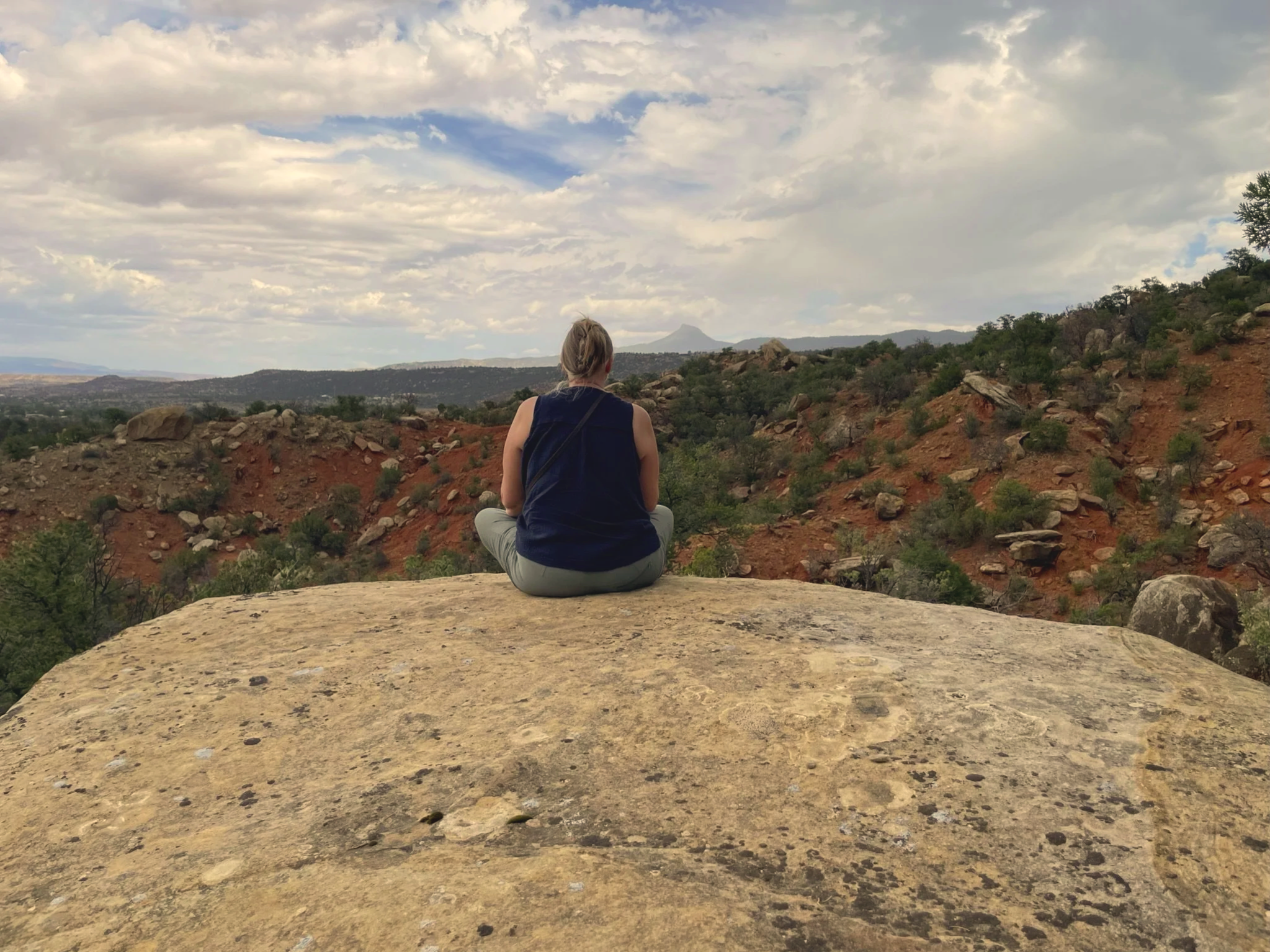 Theresa Benson, PhD, Expressive Arts Therapist, Eco-Spiritual Alchemist