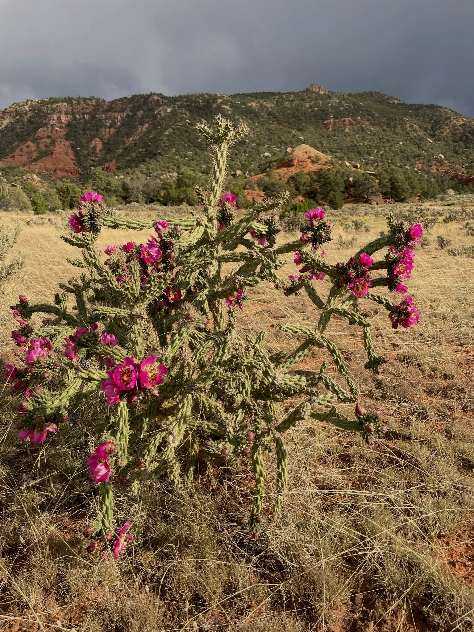 Eco-Spiritual Retreat Center Near Santa Fe New Mexico