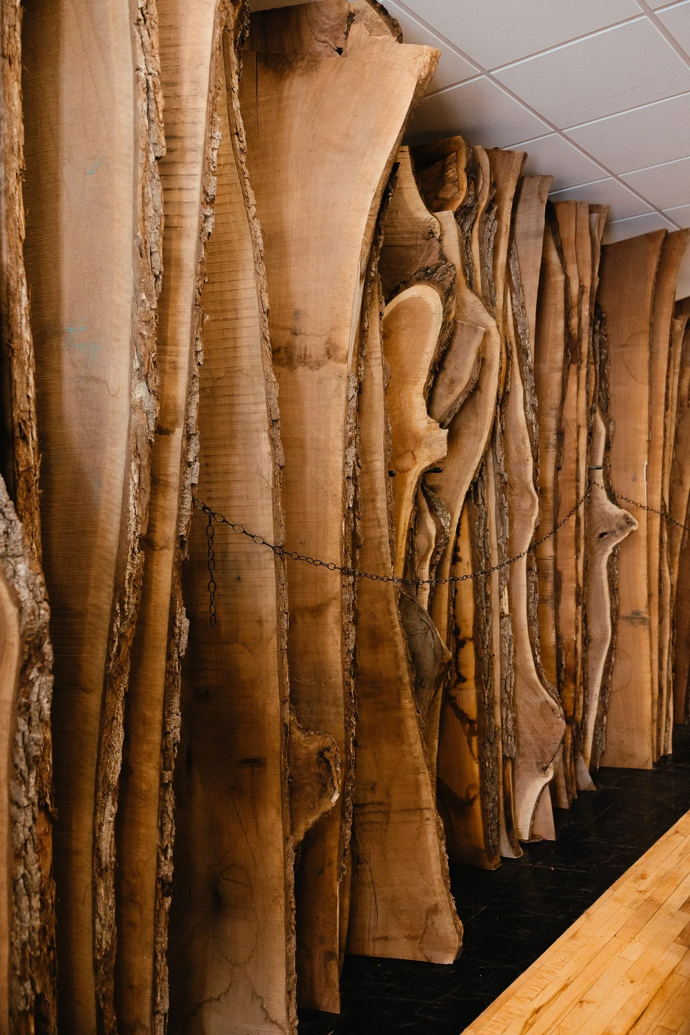 Stacks of large, natural wood slabs with bark edges, leaning against a wall in a woodworking shop or lumberyard, with a mixed wood floor and a drop ceiling.