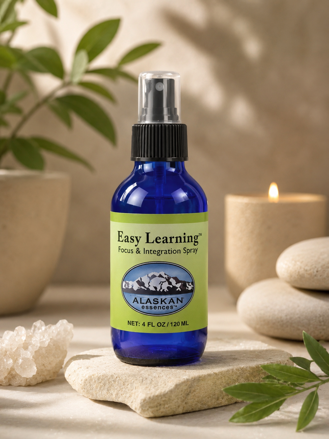 Easy Learning Focus and Integration Space Spray