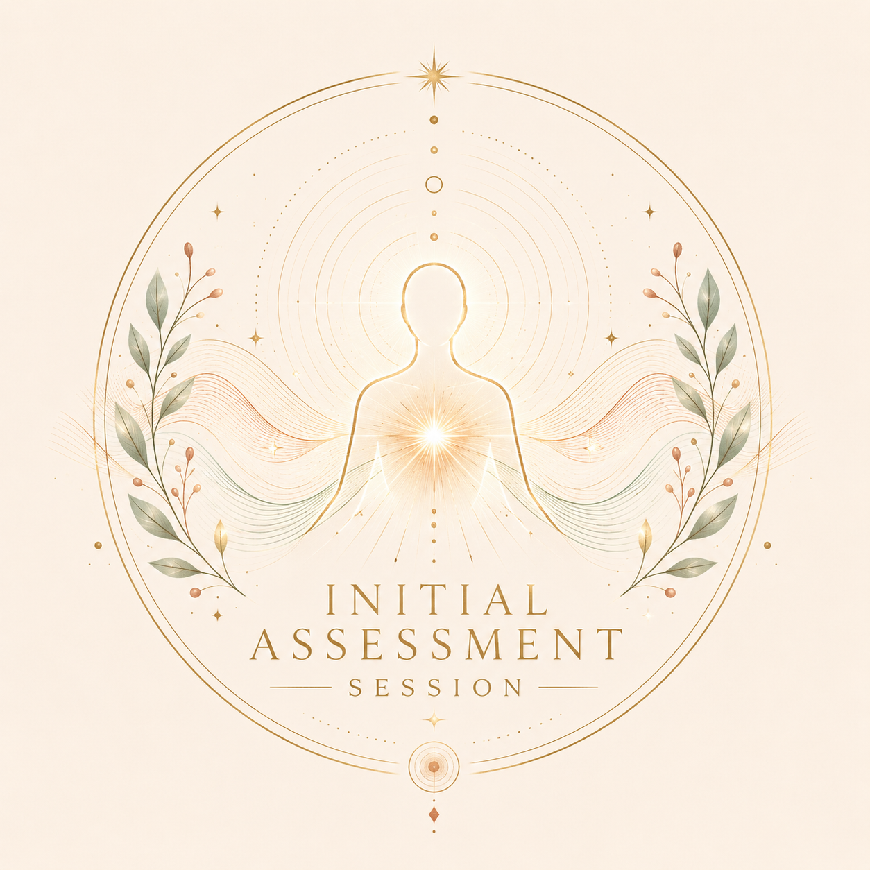 Initial Assessment.PNG