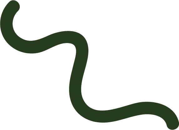 A dark green snake coiled and slithering across a black background.