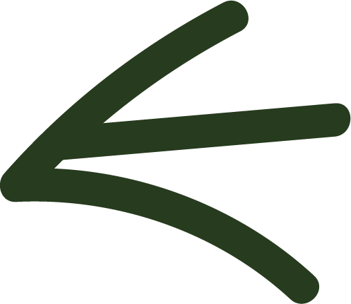 A minimalist dark green line drawing of a stylized fish facing to the right.