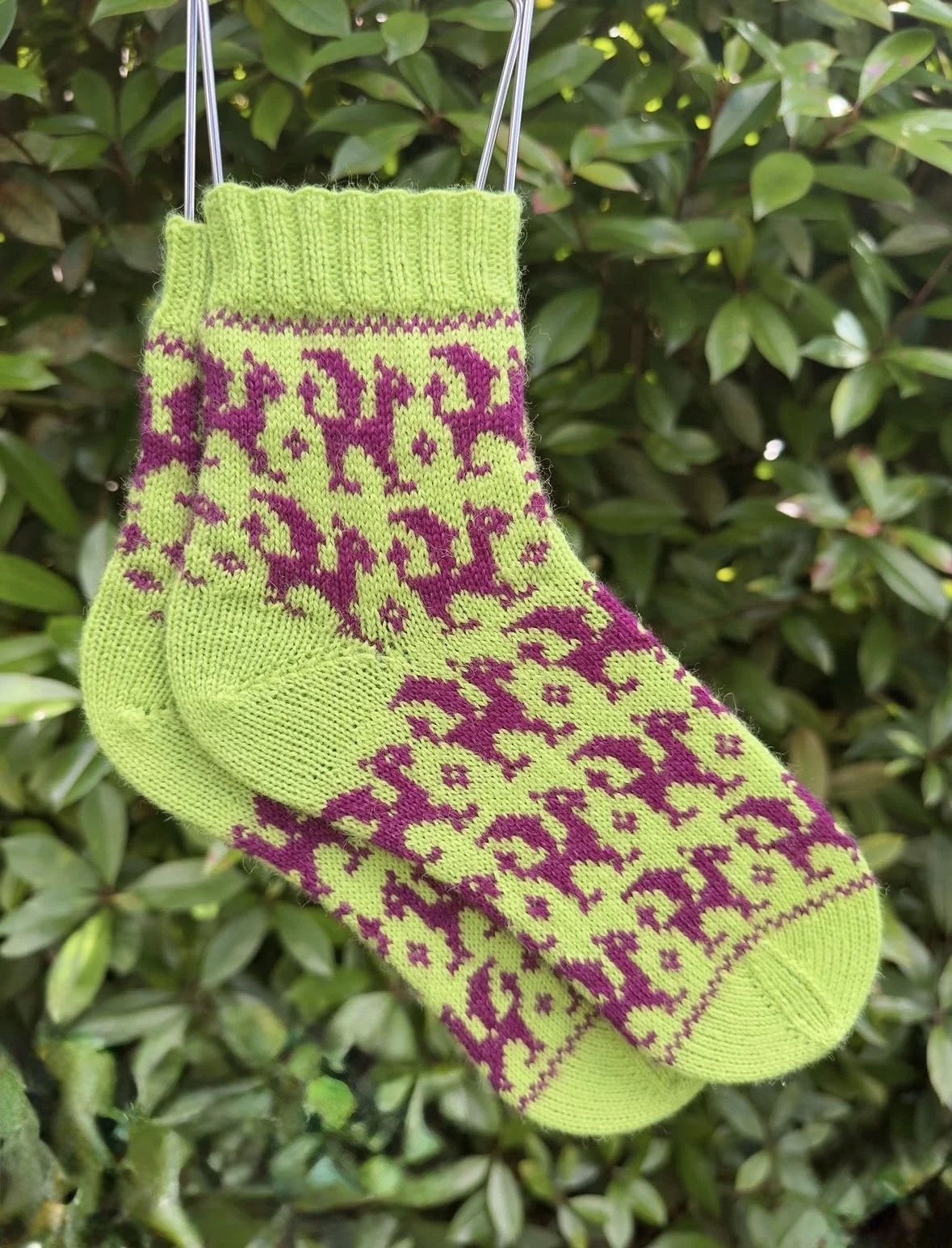 A single green and purple knitted sock with a pattern of dragons, hanging on a metal hanger in front of green shrubbery.