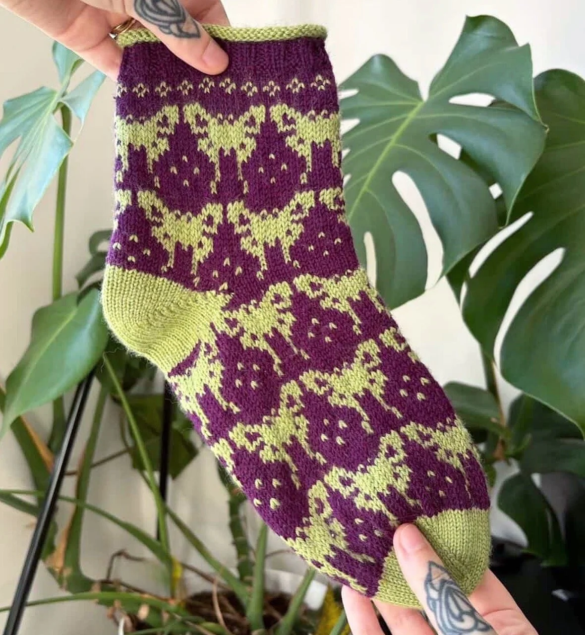 Luna Moth Socks Pattern
