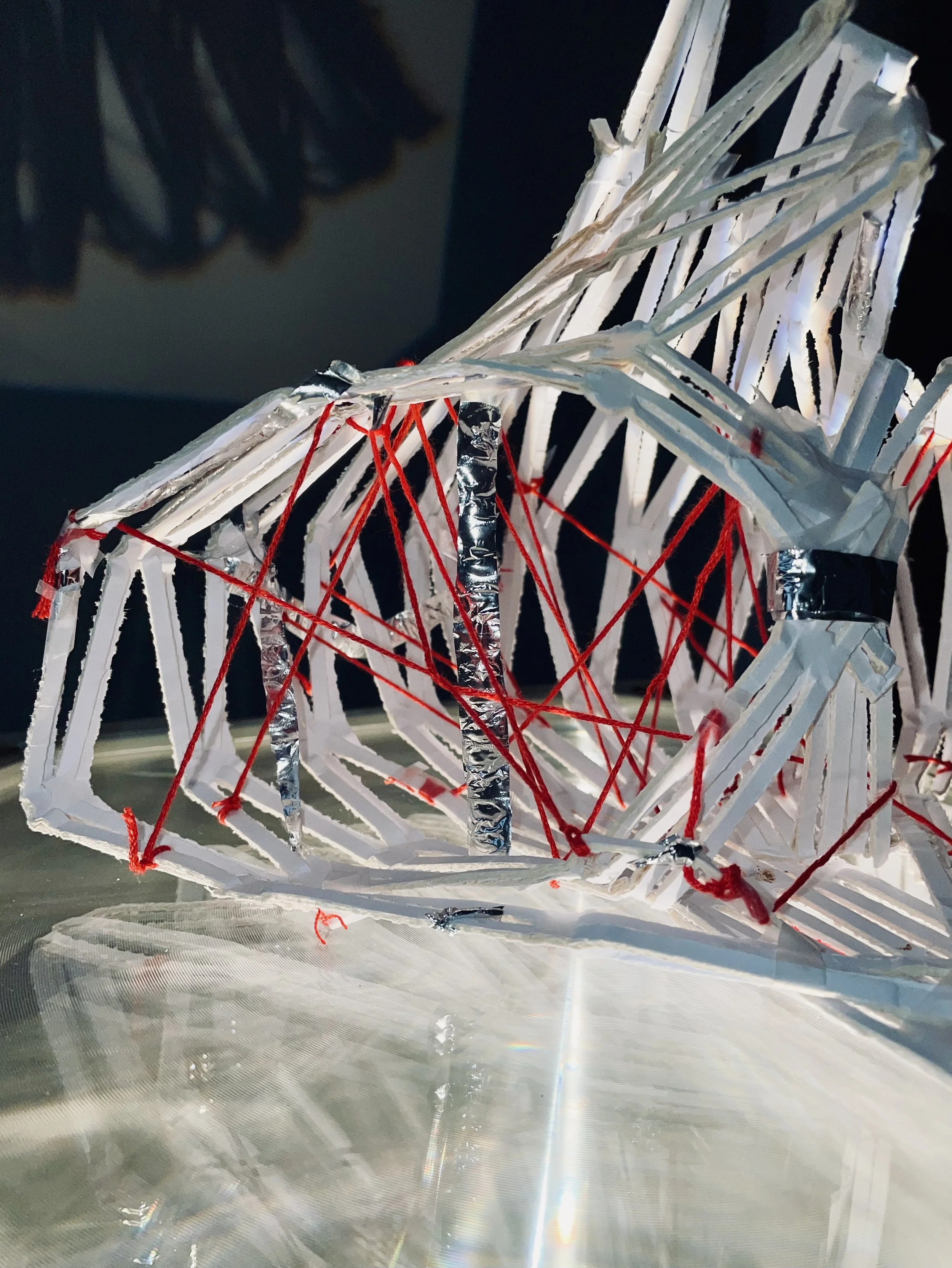 IMG_4941 2.jpg