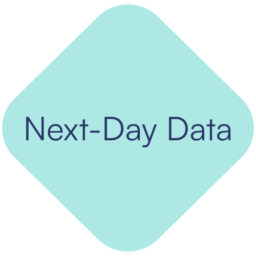 Light blue diamond-shaped sign with the text "Next-Day Data" in navy blue.