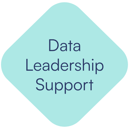 Light blue diamond-shaped graphic with the words 'Data Leadership Support' in dark blue text.