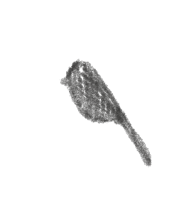 Sketch of black bird