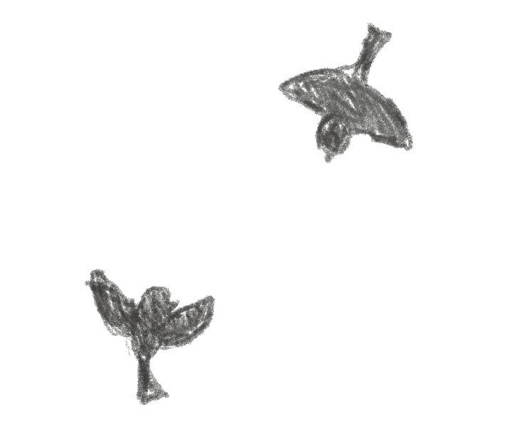 Sketch of two black birds