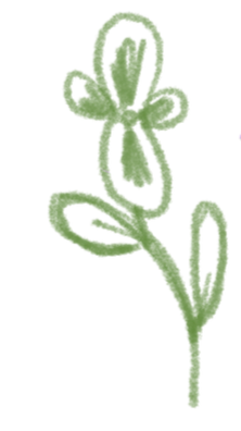 Sketch of green flower
