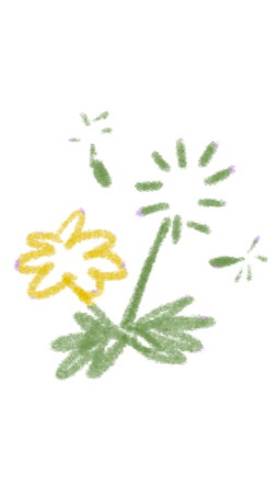 Sketch of three green and yellow flowers
