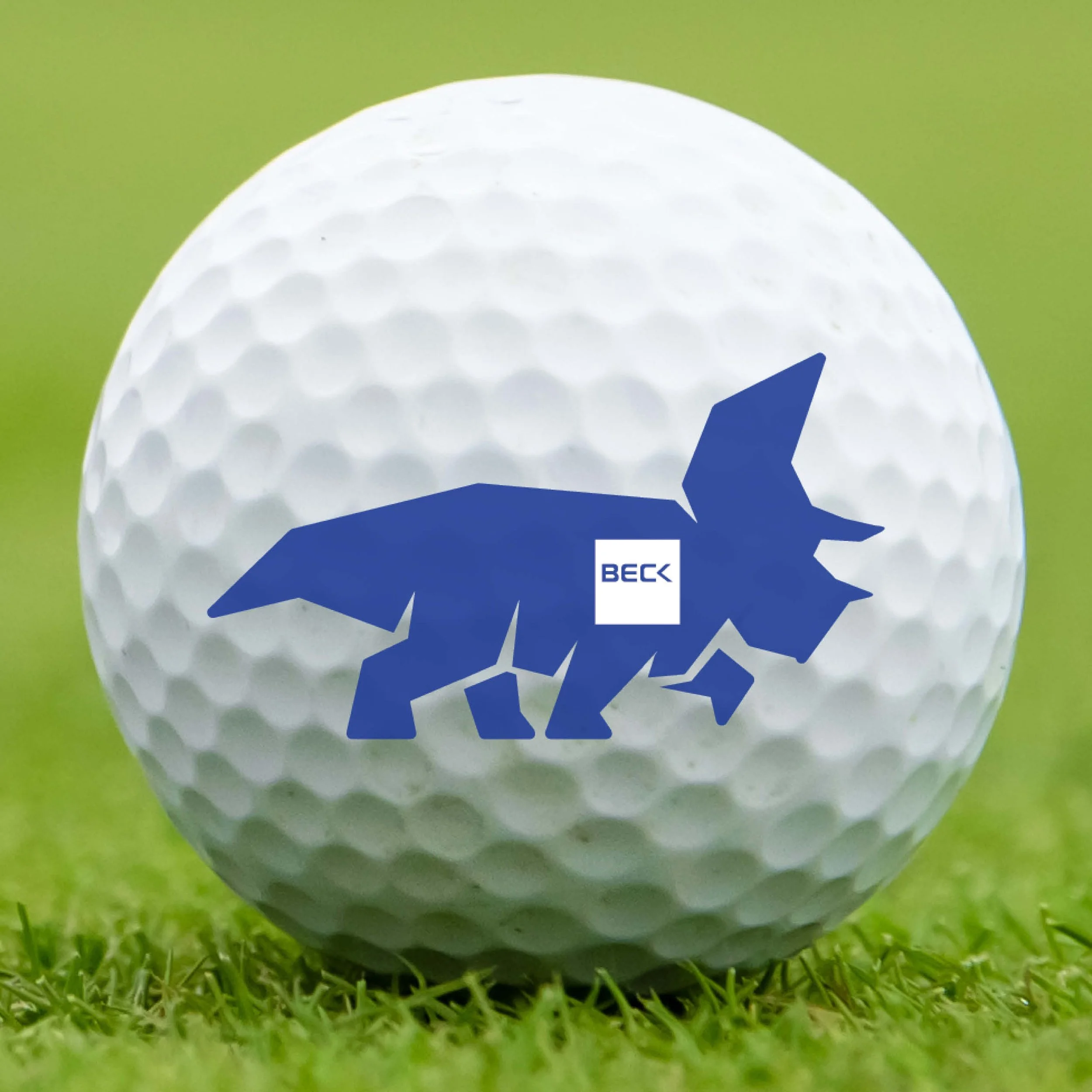 Celebrity Long Drive Sponsorship