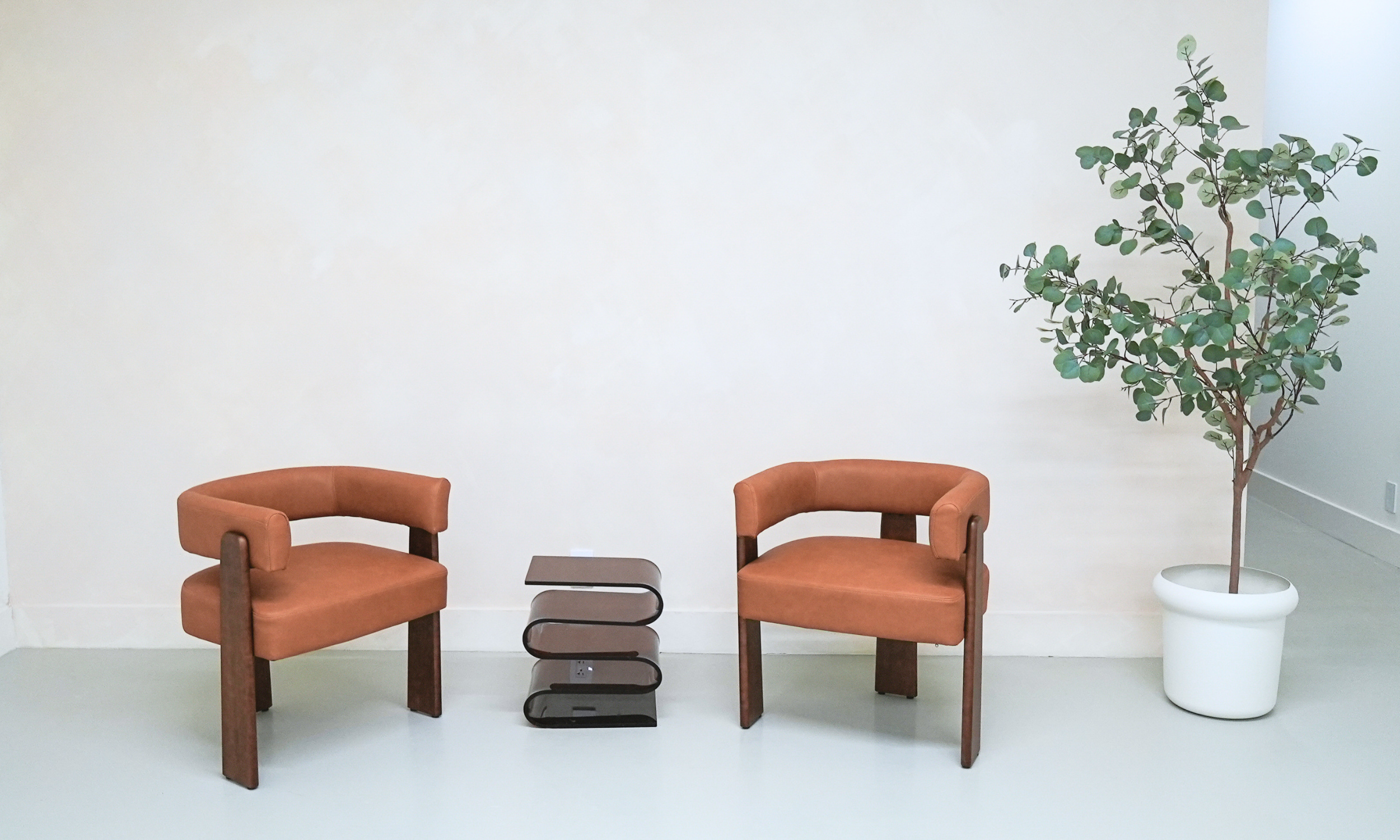 Two brown chairs with rounded arms and a small black side table between them, a large potted plant with green leaves to the right, all set against a white wall and light-colored floor.