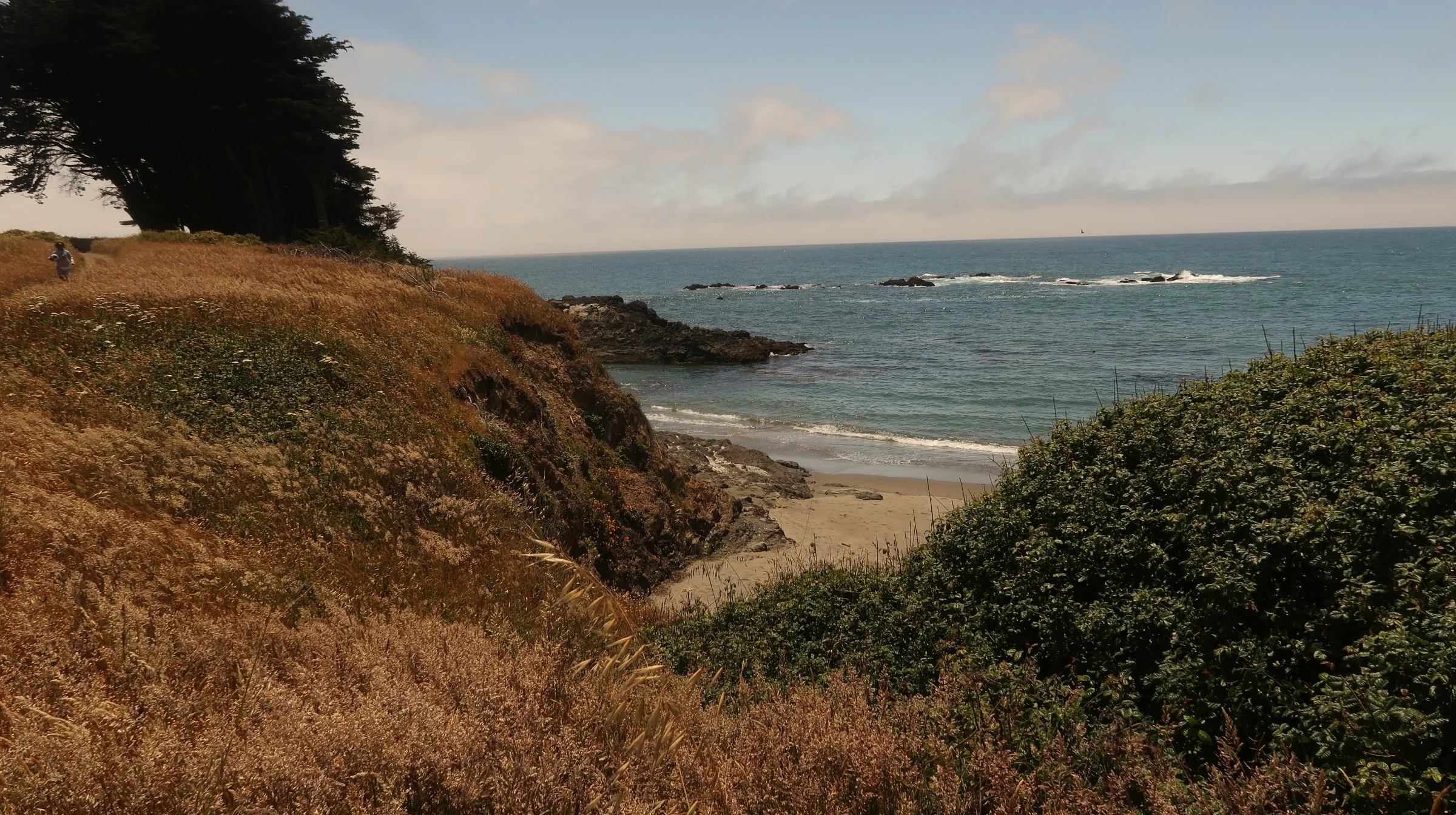 A coastal scene with a sandy beach in the foreground, rocky cliffs with dry grass and bushes, and the ocean with waves and small rocks in the water, under an overcast sky.