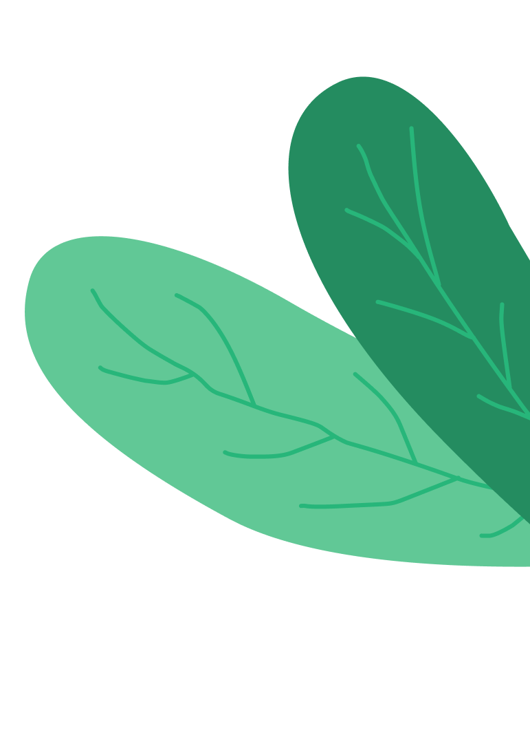 Illustration of two overlapping green leaves with minimal vein details on a black background.