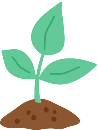 A young green plant with three leaves growing from a patch of soil.