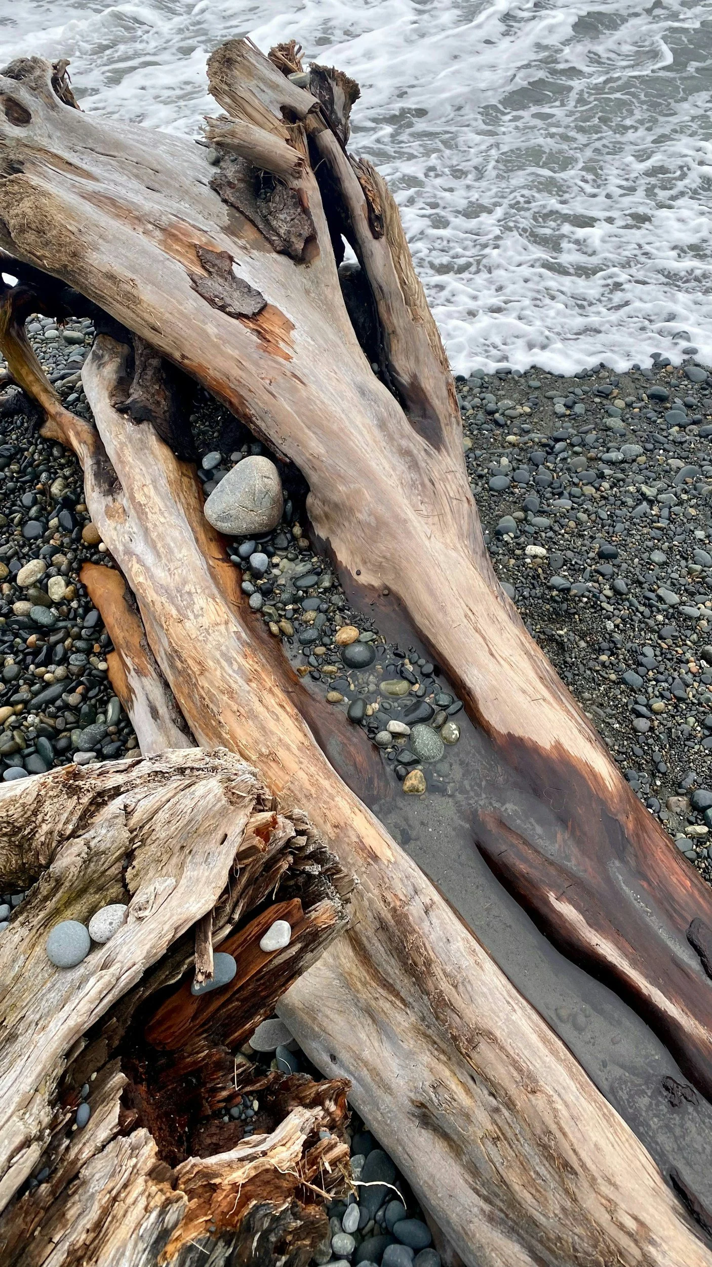 Large weathered driftwood logs on a pebble-strewn shoreline with waves washing over nearby.